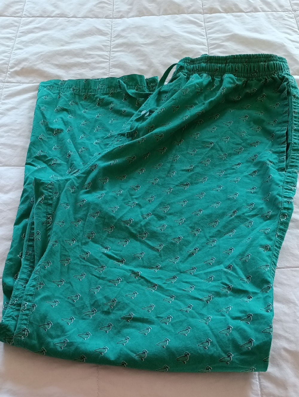 Properly Tied Teal Green Printed Lounge Pants Duck